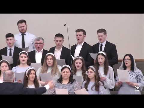 Zace-n rece mormânt - Cor mixt GRPC￼