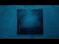 Øneheart X Reidenshi Snowfall 10 Hours Loop