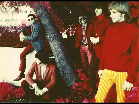 Chocolate Watchband TOP 20