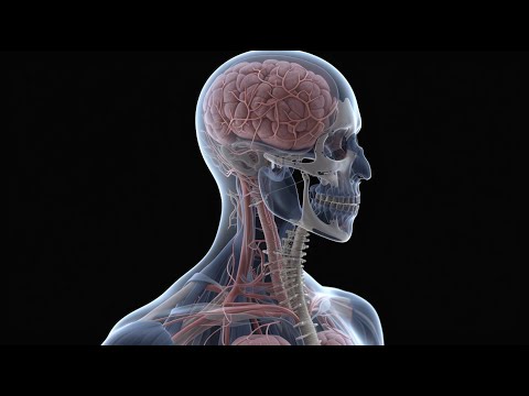 Mind-Body Dualism in the 21st Century: A Collision of Ancient Philosophy and Modern Neuroscience