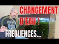 Comment Changer L'eau D'un Aquarium
