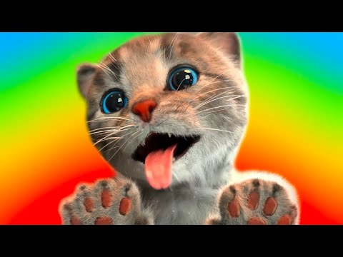 SUPER SPECIAL LITTLE KITTEN ADVENTURE - PLAYING WITH KITTEN CARTOON FOR KIDS JOURNEY FUNNY