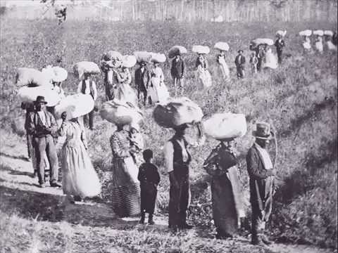 Uke Milan - POLE S BAVLNOU - ukulele