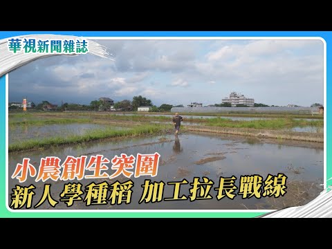小農創生突圍 新人學種稻、加工拉長戰線｜華視新聞雜誌