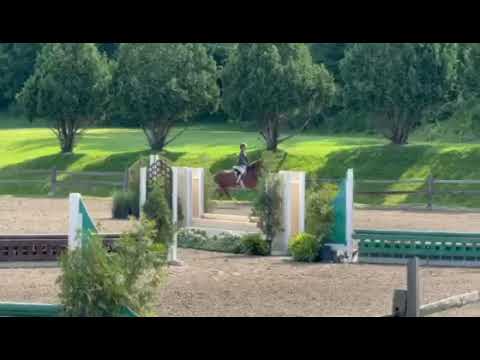 Rubynhood video 4