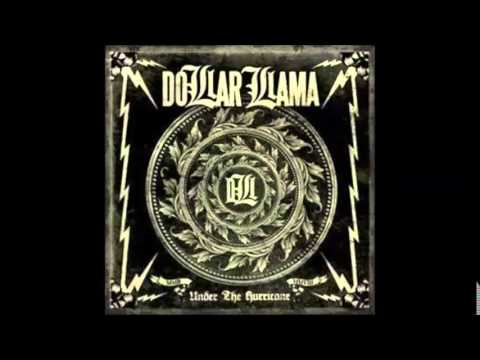 DOLLAR LLAMA - COLLIDE