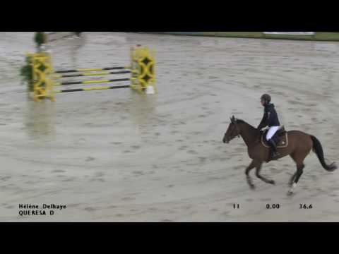 Delhaye Hélène QUERESA D ép 5b 105 Gingins 2016