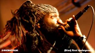 The Fall 2015 Balt-Alt-Funk-Soul SPECTACULAR (Part I) - Black Root Underground