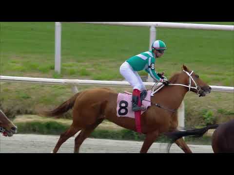 230902 c02 AFRICANUS