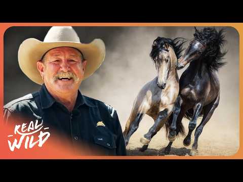 I Have 7 DAYS To Tame These Badly Behaved Horses...