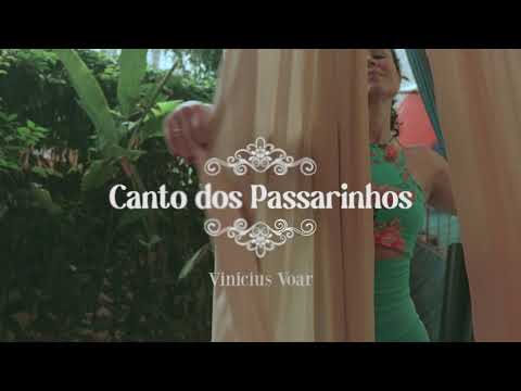 Canto Dos Passarinhos - Vinicius Voar