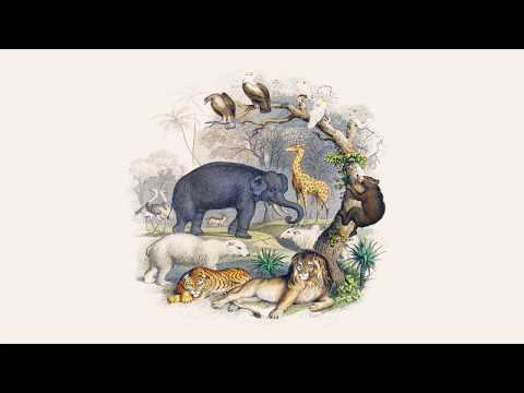 Utsav banerjee Murkh koh seekh - Panchatantra ki kahaniyan