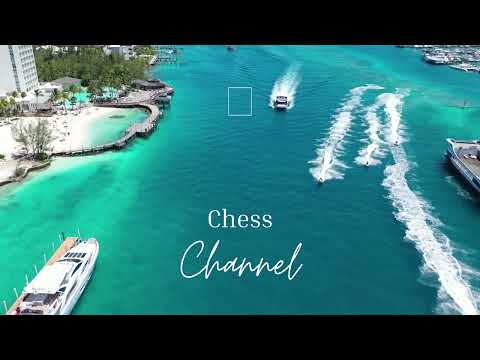 Most Notable Chess Games   Rashid Gibiatovich Nezhmetdinov vs  P Ermolin 1946