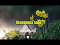 Bwino Bwino By Miracle Chinga Lyric