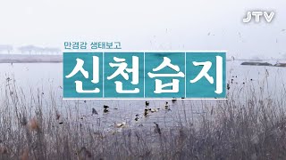 [테마스페셜] 677회 l 만경강 생태보고 신천습지
