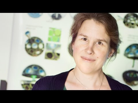 What physicists do with light: Dorothea Samtleben