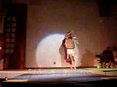 Pré-Prova 2008 Unificado - Pintinho