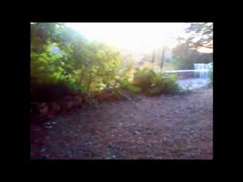 Ioannidis Alkinoos - O Proskinitis