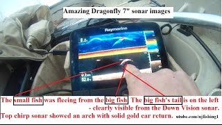 Raymarine e70320 dragonfly-7 pro sonar gps