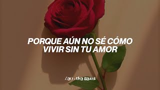 Shakira - Antologia (Letra)