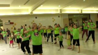 preview picture of video 'National Dance Week Flash Mob Oakdale Mall Johnson City 2012'