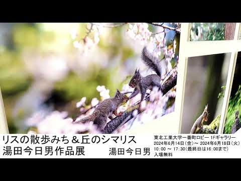 リスの散歩みち＆丘のシマリス 湯田今日男作品展