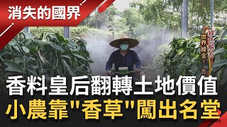 生活中常吃到的