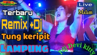 Download lagu OT WIKA REMIX   DJ TUNG KERIPIT FDJ DEVI KITTY LAMPUNG mp3