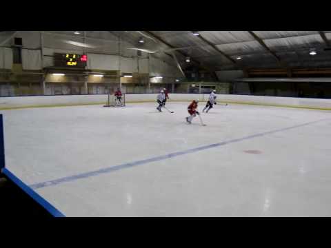 2009-10-15 Audi Flyers HC vs Borås Knights - Borås Knights scores 3-2 (game winning goal)