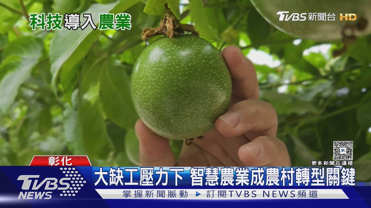 彰化青農飆破2842人冠全台!科技導入翻轉傳統農業