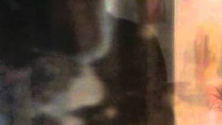 Lightning Glove - Friday&#39;s Child