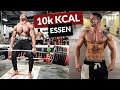 EINEN Tag wie IFBB PRO LARRY WHEELS essen