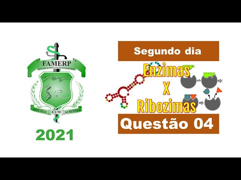(FAMERP 2021)Antes de 1982, acreditava-se que somente as moléculas de proteínas...