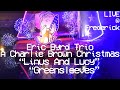 A CHARLIE BROWN CHRISTMAS Live ERIC BYRD TRIO Linus And Lucy Greensleeves