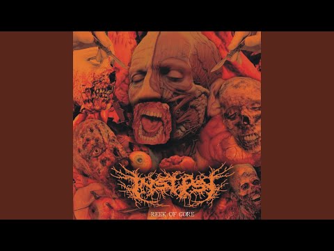 Goregrind Smash The Fas-Cist