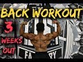 THIS IS HOW YOU BUILD A MASSIVE BACK | 3 WEEK OUT