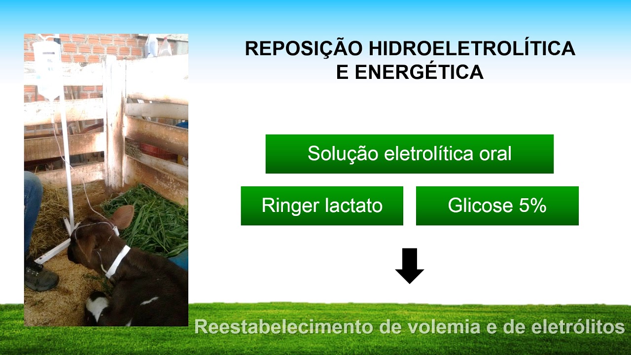INDIGESTÃO VAGAL  DE BOVINOS: Tratamento