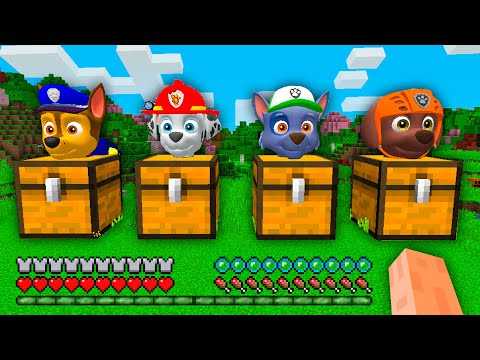 What's INSIDE the CHEST PAW PATROL CHASE MARSHALL ROCKY ZUMA in Minecraft ?