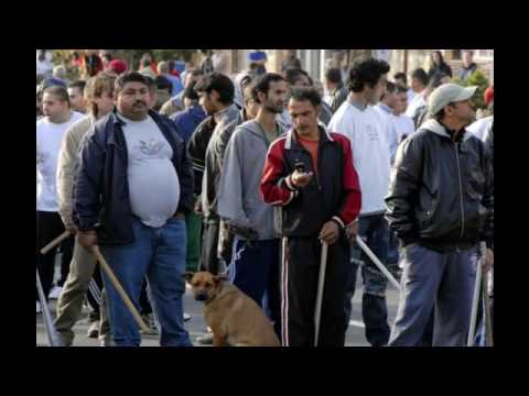 Na Bedřišce - Jaromír Nohavica