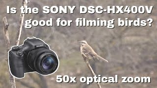 Is the SONY DSC-HX400V good for filming birds? | 50x OPTICAL ZOOM TEST - CAMERA REVIEW - BIRDING