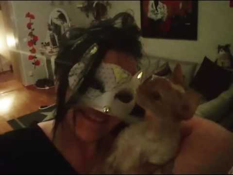 Crazy catlady attack ~ Ninette the devon rex princess