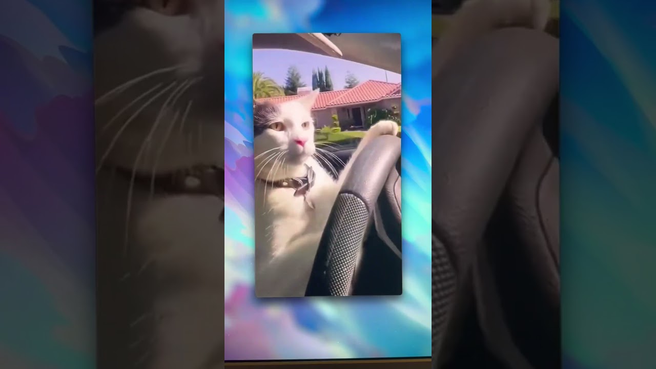 Remove Video Backgrounds for FREE with AI! Unscreen.com is a Game-Changer! 🎬✨