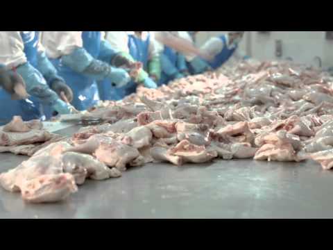 MBM Meat Food - Döner Kebap Production