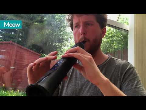 Sylphyo demo: Mariposa