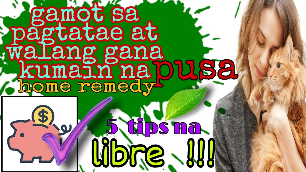 Putar video gamot Sa Pusang Nagtatae #gamotSaPagtataeNgPusa #gamotPagWalangGanaAng Pusa #matamlaynaPusa sekarang gamot Sa Pusang Nagtatae #gamotSaPagtataeNgPusa #gamotPagWalangGanaAng Pusa #matamlaynaPusa
