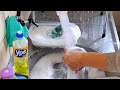 Lavando Louça Com Muita Espuma E ASMR Limpezasatisfatoria Lavandolouça
