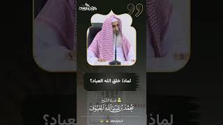 لماذا خلق الله العباد ؟ image