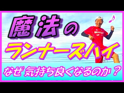 脂肪とランナーズハイの関係