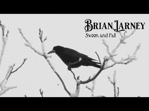 Brian Larney - Swoon and Fall