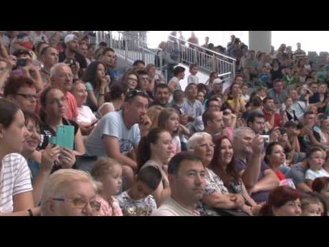 Știre Etv/02.06.2017 - ZI SPECIALĂ LA DELFINARIU